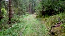  Blick auf die Wanderstrecke 
