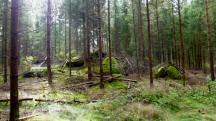  Blick zu imposante Felsformationen 