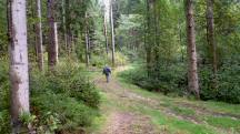  Blick auf die Wanderstrecke 