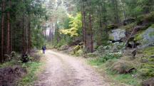  Blick auf die Wanderstrecke 