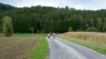  Blick auf die Wanderstrecke zur L1316 