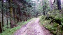  Blick auf die Wanderstrecke 