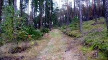  Blick auf die Wanderstrecke 