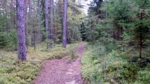  Blick auf die Wanderstrecke 