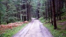  Blick auf die Wanderstrecke 
