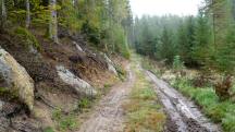  Blick auf die Wanderstrecke 