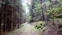  Blick auf die Wanderstrecke 