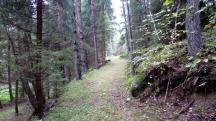  Blick auf die Wanderstrecke 