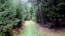  Blick auf die Wanderstrecke 
