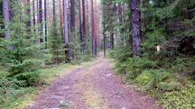  Blick auf die Wanderstrecke 