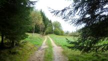  Blick auf die Wanderstrecke 