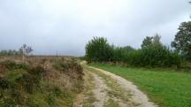  Blick auf die Wanderstrecke 