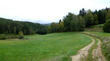  ein Blick zurck 