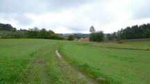  Blick auf die Wanderstrecke nach Lembach 