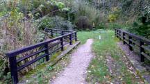  Blick auf die Wanderstrecke beim Mauerbach 