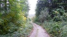  Blick auf die Wanderstrecke 