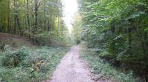  Blick auf die Wanderstrecke 