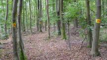  Blick auf die Wanderstrecke 