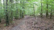  Blick auf die Wanderstrecke 