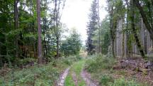  Blick auf die Wanderstrecke 