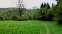 Blick auf die Wanderstrecke entlang der "Passauer Wiese" 