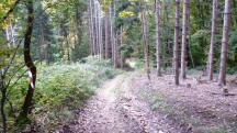  Blick auf die Wanderstrecke 