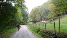  Blick auf die Wanderstrecke im Pilzengraben 