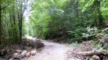  Blick auf die Wanderstrecke 