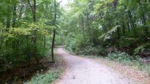  Blick auf die Wanderstrecke 