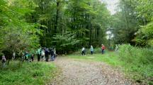 Blick auf die Wanderstrecke bei der Streckenzusammenfhrung