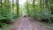  Blick auf die Wanderstrecke 