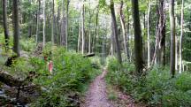  Blick auf die Wanderstrecke 