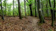  Blick auf die Wanderstrecke 
