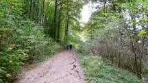  Blick auf die schon bekannte Wanderstrecke 