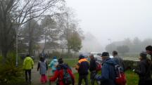 Blick auf die Wanderstrecke im "Groem Park" entlang der Wienerstrae