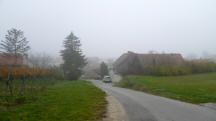 Blick auf die Wanderstrecke "Am Berg" in Feuersbrunn