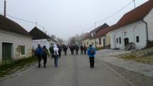 Blick auf die Wanderstrecke durch die Feuersbrunner Kellergasse