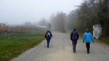 Blick auf die Wanderstrecke am Ende der Feuersbrunner Kellergasse