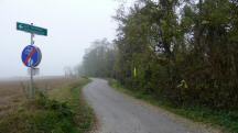  Blick auf die Wanderstrecke  "Am Mittersteig" 
