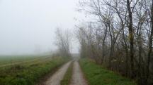  Blick auf die Wanderstrecke  "Am Mittersteig" 