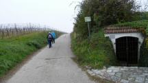 Blick auf die Wanderstrecke in der Riede Brunnthal