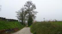 Blick auf die Wanderstrecke im Hammergraben