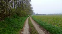  Blick auf die Wanderstrecke 