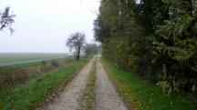 Wanderroute auf dem Begleitweg der L2179 Richtung Fels am Wagram