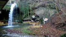  Blick zur Jgerkrippe beim Teufelsbach 