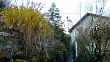  Blick auf die Wanderstrecke 