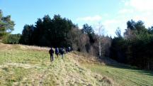  Blick auf die Wanderstrecke 
