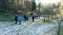  Blick auf die Wanderstrecke 