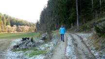  Blick auf die Wanderstrecke im Wolfsgraben 