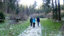  Blick auf die Wanderstrecke 